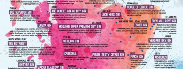 Gin Infographic