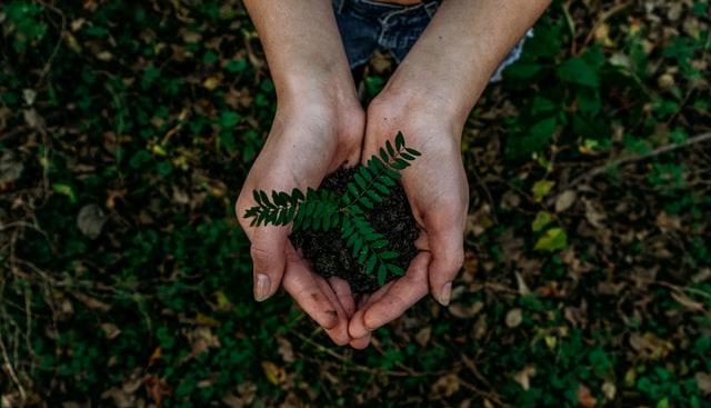 Eco-Friendly-Packaging